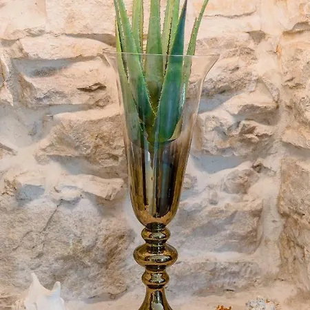 Appartement Luxury Petra In 400 Year Old Stone House 4+2